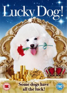 THE LUCKY DOG! DVD