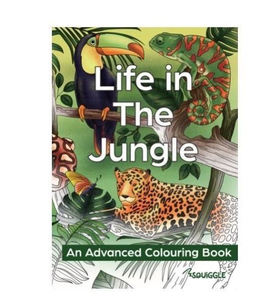 Life in the Jungle - An Advanced Colouring Book - 22 Pages of Fun