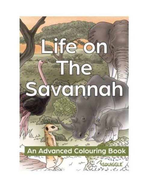 Life on the Savannah - An Advanced Colouring Book - 22 Pages of Fun