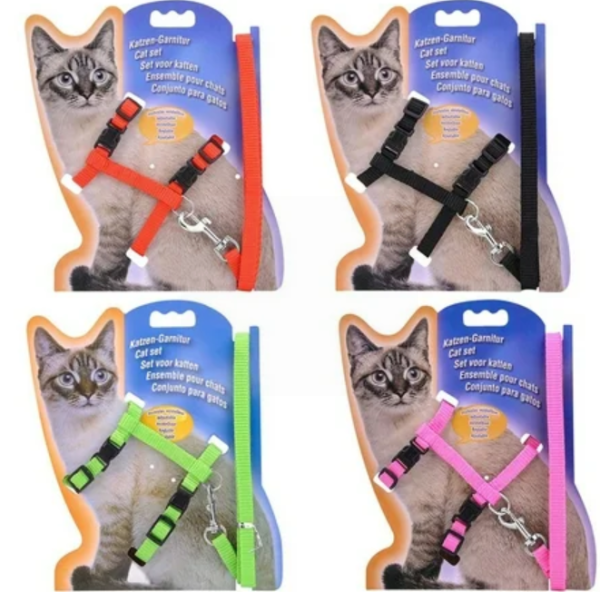 Cat Collar & Harness - Assorted Colours