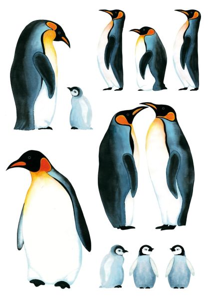 WALL DECO TATTOO PENGUIN