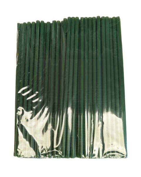 Sustain Bio-Plastic Green Straws - 19.5cm - Pack Of 100