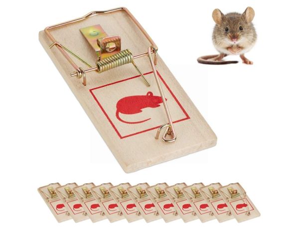 Qwik Catch Easy to Use Wooden Mouse Trap - 10 x 4.5cm - Pack of 3