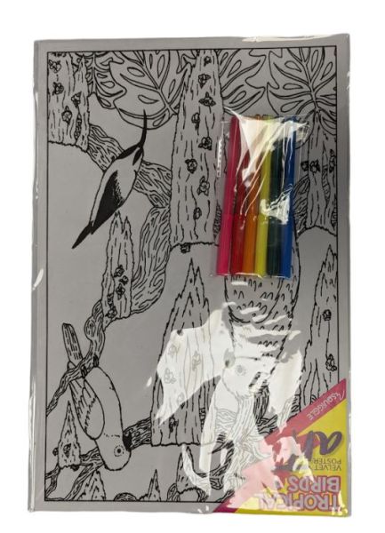 Velvet Poster Art with Assorted Coloured Pens - Tropical Birds 1 - 38 x 25cm