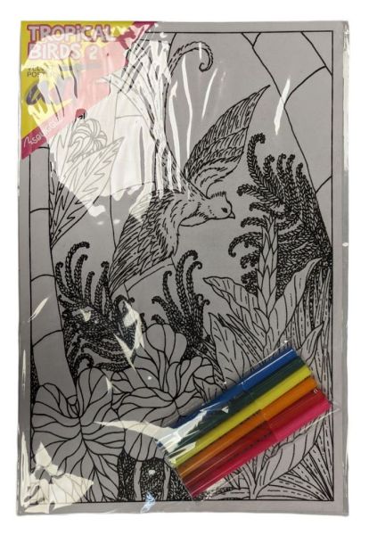 Velvet Poster Art with Assorted Coloured Pens - Tropical Birds 2 - 38 x 25cm