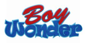 3D 12IN 'BOY WONDER' FOAM SIGN