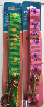 Dog Leash - Colours May Vary