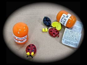 KINDER SURPRISE TOY EGG LADYBIRD