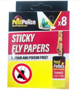 Pack of 10 Insect Catchers