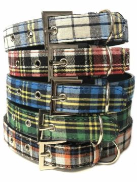 Pets That Play Dog Collar - 2.5cm x 50cm Approx - Colours May Vary