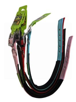 Pets That Play Dog Collar - 2.5cm x 60cm Approx - Colours May Vary