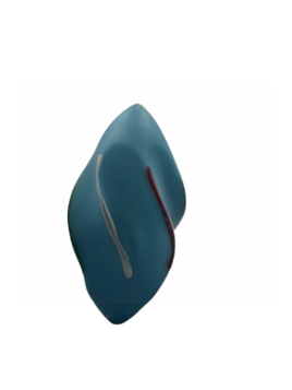 Pet Touch Squeaky Spiral Dog Toy